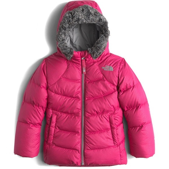 The North Face Other - The North Face - Polar Down Parka (Toddler)